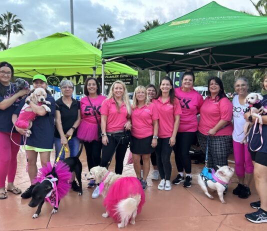 Paws, Pink and Purpose: Pink Army Walks in Remembrance and Hope