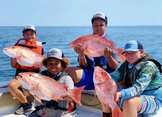 FWC: Florida Receives Approval for Expanded 2026 Fall Atlantic Red Snapper Season