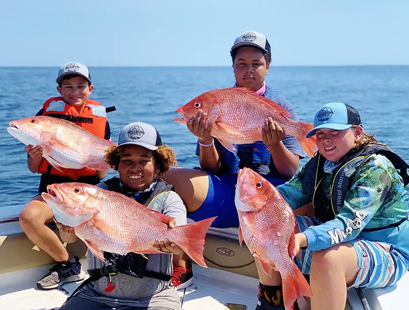 Snapper FWC