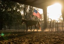 Tractor Supply to Spotlight Local Makers During Nationwide Harvest Fe