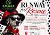 Runway for Rescue: SMART of Flagler Dog Rescue Presents an Evening of Fashion with a Purpose on November 12