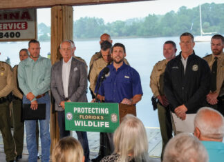 Attorney General James Uthmeier Charges 10 Defendants in Sea Turtle Poaching and Illegal Fishing Operation